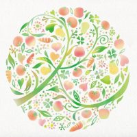 カゴメ_ハガキ_イラスト