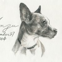 Anzu ちゃん〈ジャック・ラッセル・テリア〉