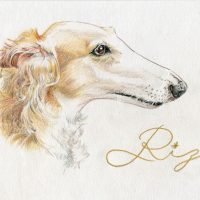 Rizu ちゃん〈ボルゾイ〉